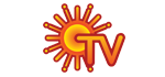 Sun TV Network Ltd. logo